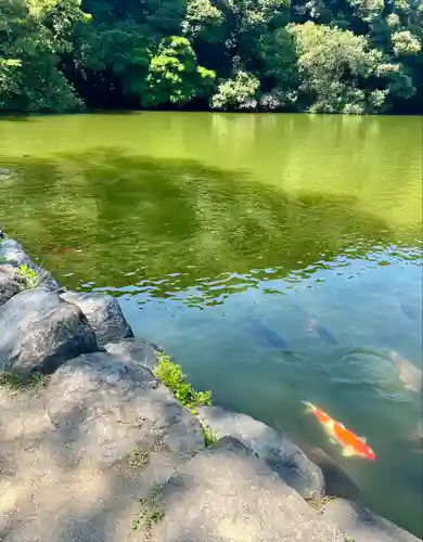 桜ヶ池池宮神社(静岡県)