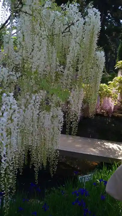 歌泉堂(春日大社神苑萬葉植物園内鎮座)(奈良県)