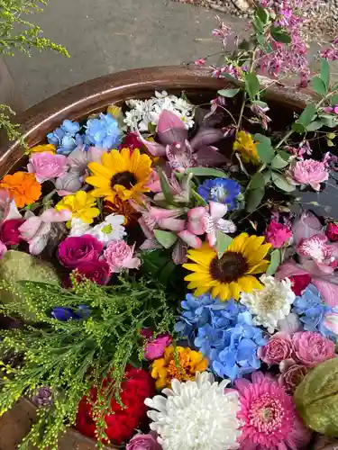 多賀神社の手水