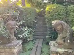 金剛寺の狛犬