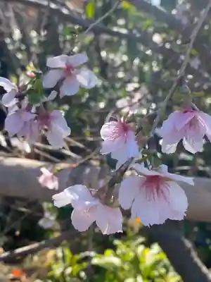 妙蓮寺(神奈川県)