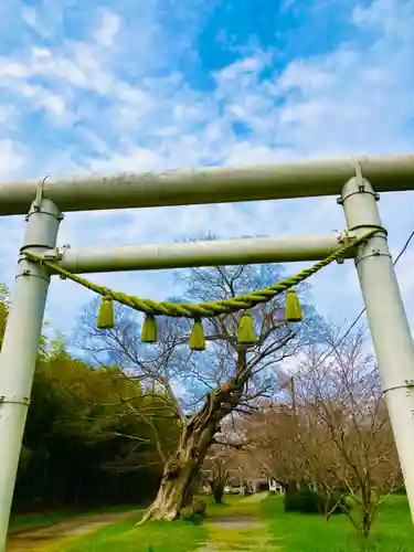 金村別雷神社(茨城県)