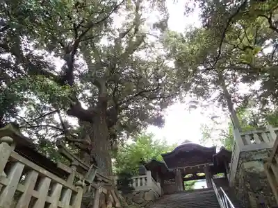 服部神社の山門・神門