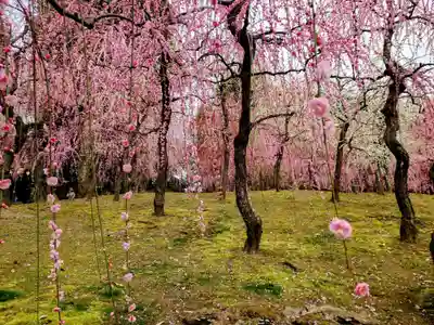 城南宮(京都府)