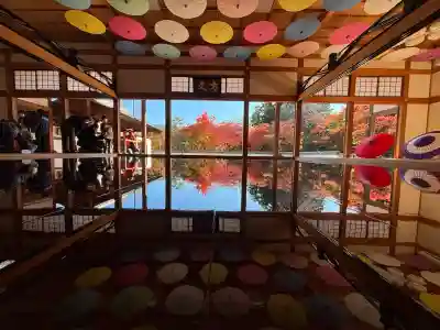 宝徳寺の{uncategorized: "未分類", other: "その他", undefined: "問題あり", building: "その他建物", grave: "お墓", sacred_gate: "鳥居", guardian: "狛犬", statue: "像", buddha: "仏像", history: "歴史", nature: "自然", garden: "庭園", animal: "動物", pagoda: "塔", temizu: "手水舎", mountain_gate: "山門・神門", sanctuary: "本殿・本堂", subordinate: "末社・摂社", art: "芸術", scenery: "景色", jizo: "地蔵", ema: "絵馬", goshuin: "御朱印", omikuji: "おみくじ", items: "授与品その他", amulet: "お守り", goshuincho: "御朱印帳", eats: "食事", festival: "お祭り", votive_dance: "神楽", shichigosan: "七五三参", wedding: "結婚式", experience: "体験その他", initially: "初詣", around: "周辺", anti_infection: "感染症対策"}