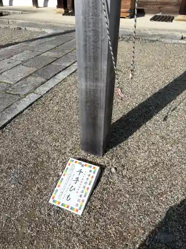 仁和寺の{uncategorized: "未分類", other: "その他", undefined: "問題あり", building: "その他建物", grave: "お墓", sacred_gate: "鳥居", guardian: "狛犬", statue: "像", buddha: "仏像", history: "歴史", nature: "自然", garden: "庭園", animal: "動物", pagoda: "塔", temizu: "手水舎", mountain_gate: "山門・神門", sanctuary: "本殿・本堂", subordinate: "末社・摂社", art: "芸術", scenery: "景色", jizo: "地蔵", ema: "絵馬", goshuin: "御朱印", omikuji: "おみくじ", items: "授与品その他", amulet: "お守り", goshuincho: "御朱印帳", eats: "食事", festival: "お祭り", votive_dance: "神楽", shichigosan: "七五三参", wedding: "結婚式", experience: "体験その他", initially: "初詣", around: "周辺", anti_infection: "感染症対策"}