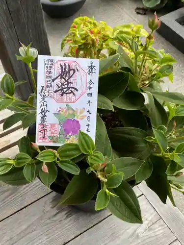 妙蓮寺の御朱印