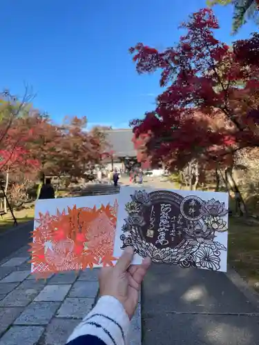 仁和寺(京都府)