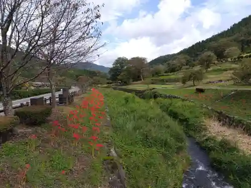 朝倉神社(福井県)
