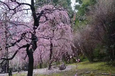城南宮(京都府)