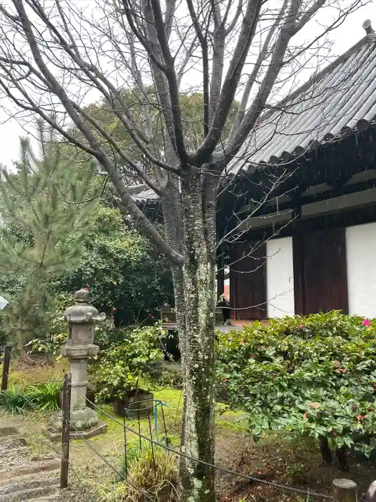 伝香寺(奈良県)