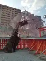 榴岡天満宮(宮城県)