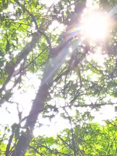 足高神社の自然