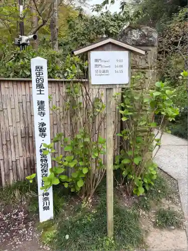 明月院(神奈川県)