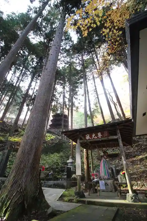 安楽寺(長野県)