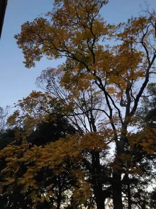 神鳥前川神社(神奈川県)