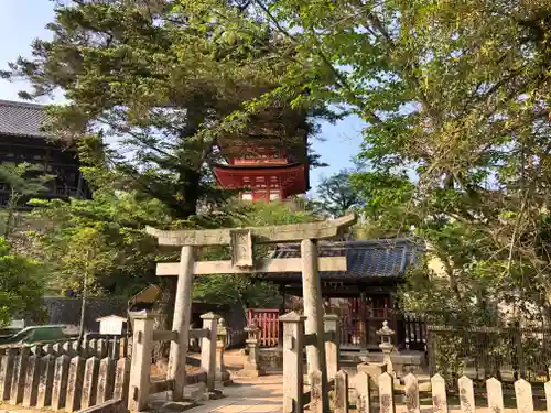 荒胡子神社の鳥居