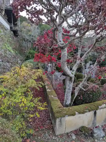 聖林寺(奈良県)