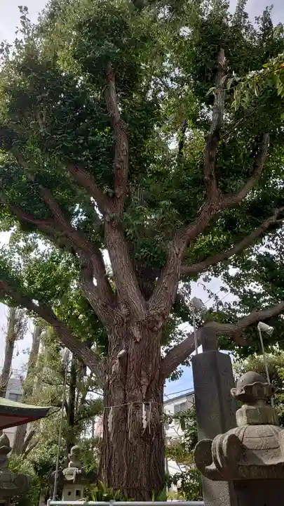 秋葉神社(東京都)