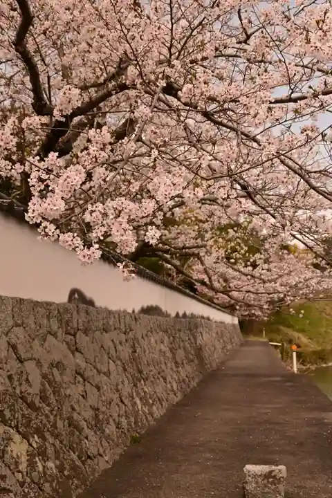 久妙寺(愛媛県)