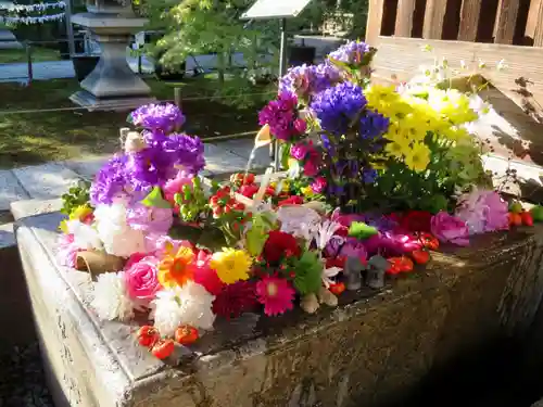 勝林寺の手水舎