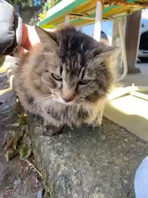 唐澤山神社(栃木県)