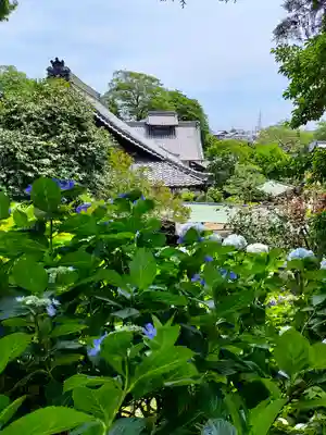 性海寺の本殿・本堂