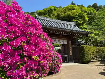 船宿寺(奈良県)
