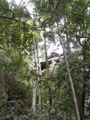 阿賀神社(滋賀県)