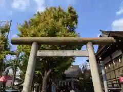 飛木稲荷神社の鳥居