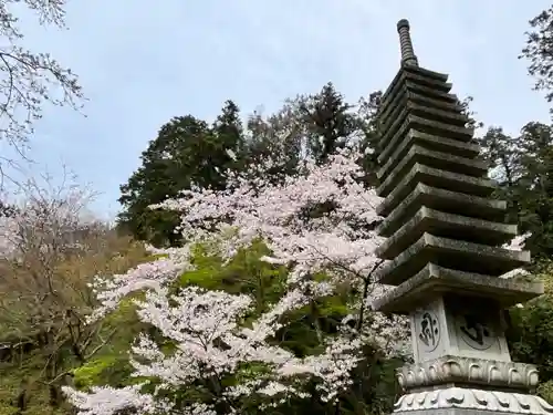 岡寺（龍蓋寺）(奈良県)