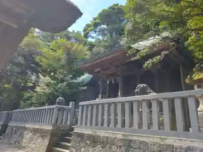天津神社の本殿・本堂