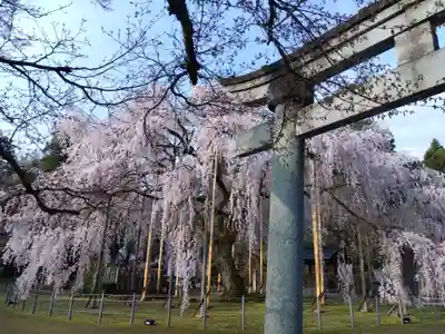 足羽神社(福井県)