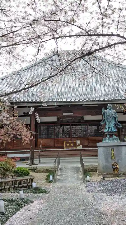 墨染寺(桜寺)(京都府)