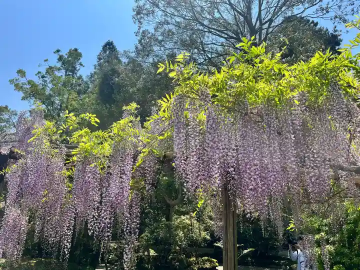歌泉堂(春日大社神苑萬葉植物園内鎮座)(奈良県)
