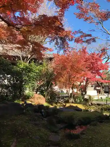 長谷寺の庭園