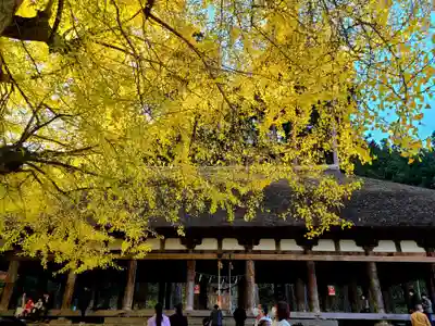 新宮熊野神社のその他建物
