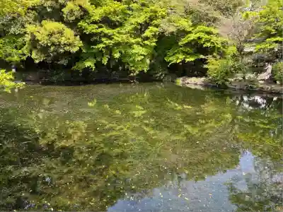 富士山本宮浅間大社(静岡県)