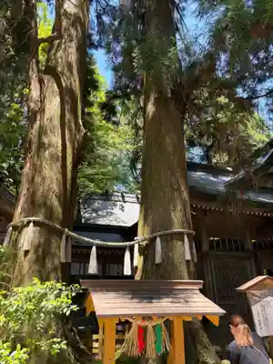 高千穂神社(宮崎県)