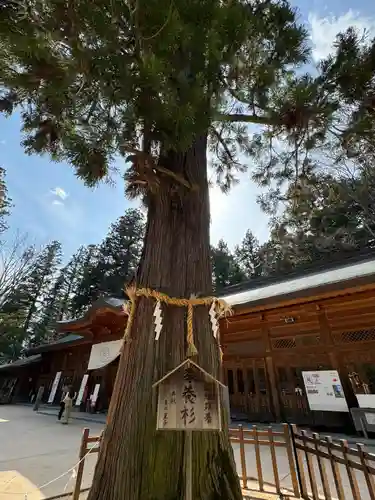 穂高神社本宮(長野県)