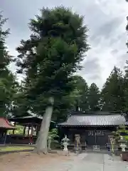 松尾神社(山梨県)