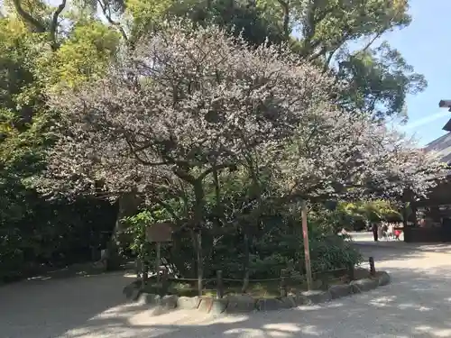 熱田神宮の庭園