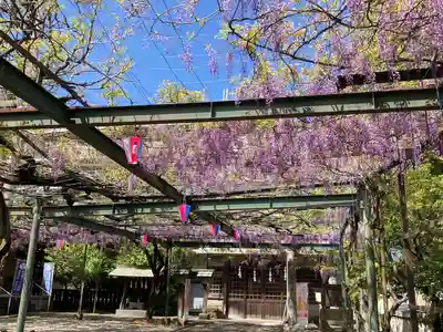 國領神社(東京都)