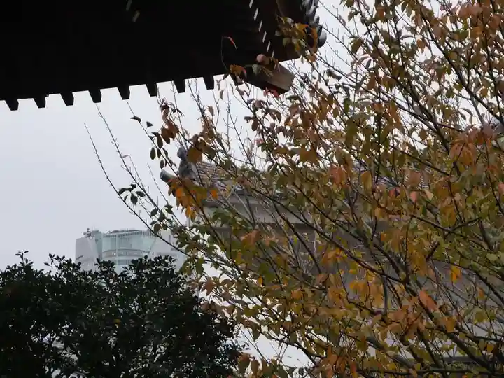 永平寺別院長谷寺の自然