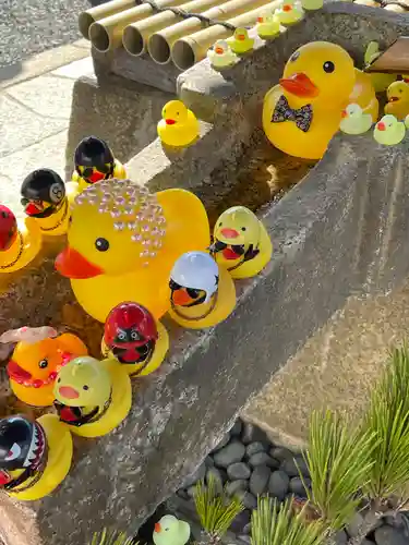 くろ谷 金戒光明寺の手水舎