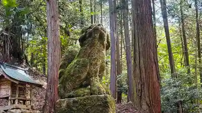 椎村神社(福井県)