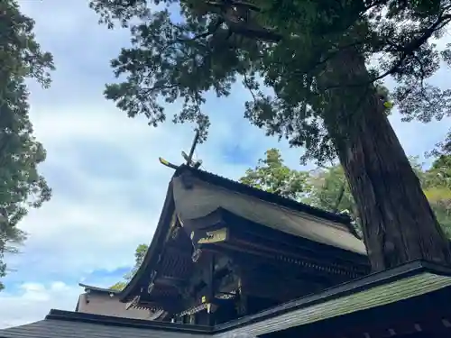 鹿島神宮(茨城県)
