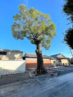 光明寺(三重県)