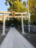 熊野神社(東京都)