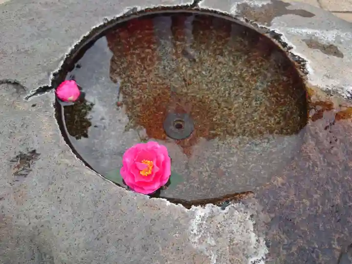 中山競馬場馬頭観音の手水舎